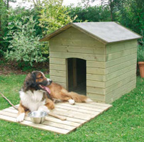 Caseta de jardin para el perro