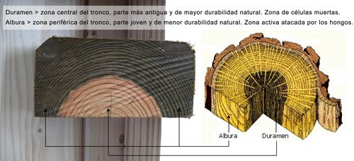 Traviesa ecologica en autoclave