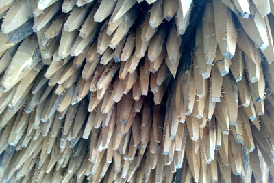 Estacas de acacia
