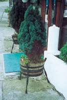 Barrica de Roble