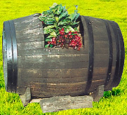 Barrica de Roble