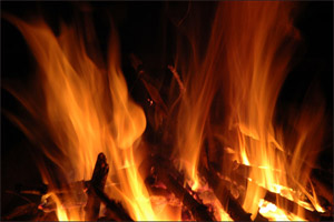 Noble comportamiento al fuego
