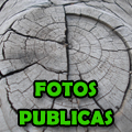 Publicas